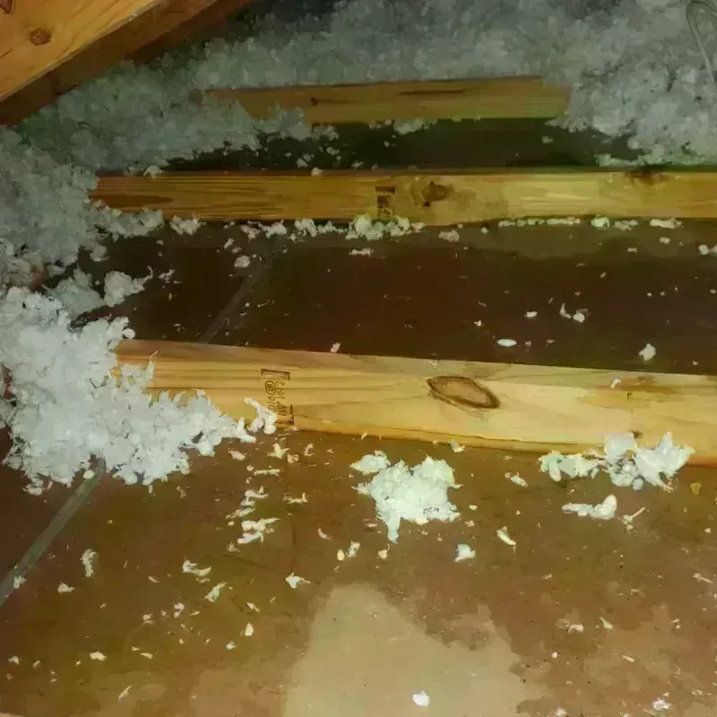 Attic Water Damage in Tipton, PA